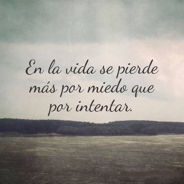 PauloCoelhoDice's tweet photo. https://t.co/5UUC4hYIHL