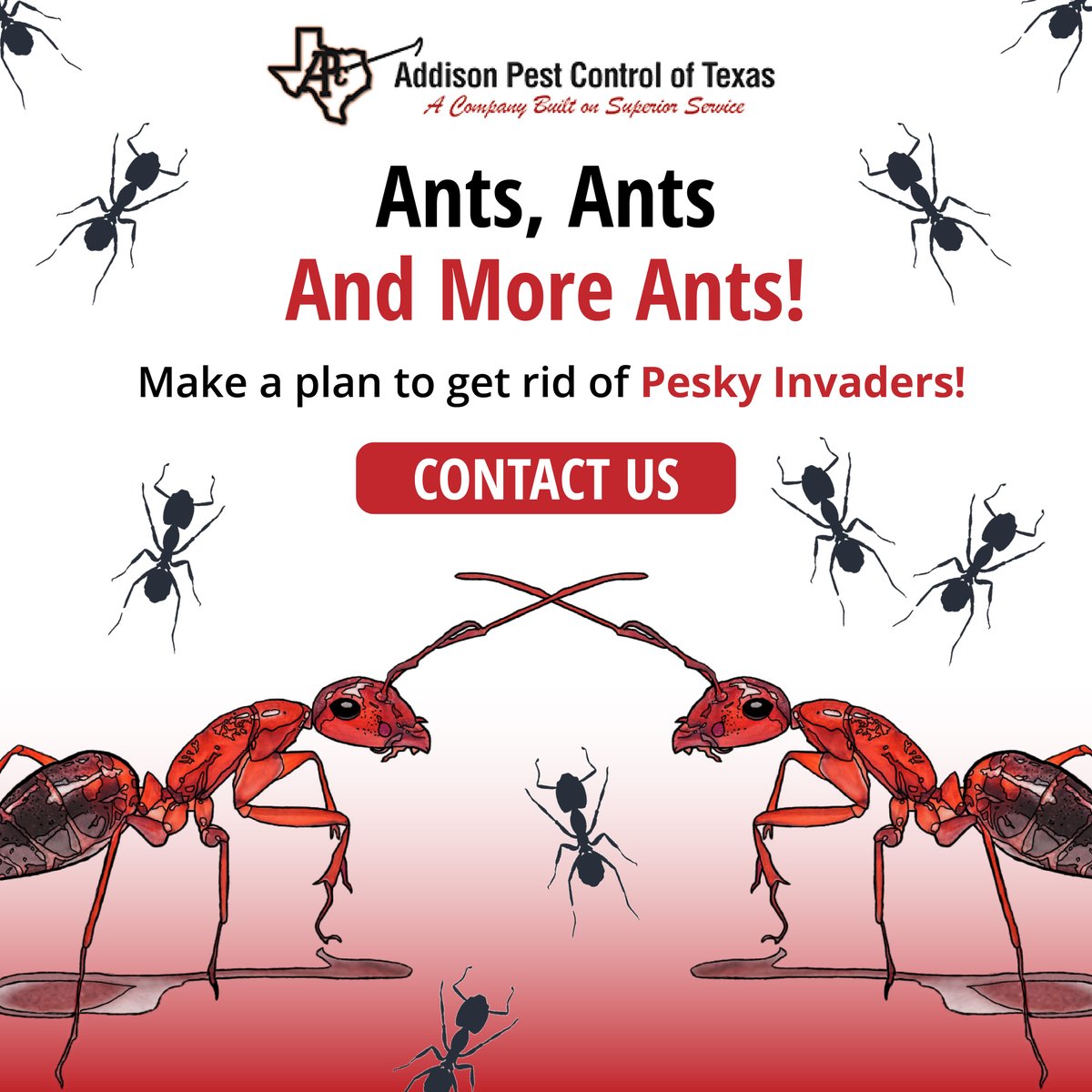 AddisonPest's tweet image. Once you find one, there is a whole colony invasion! APC is here to protect your home or property from #pests including wildlife, insects, and more- get in touch with us. #termiteremoval #antremoval #wildliferemoval #northtexas #pestcontrol