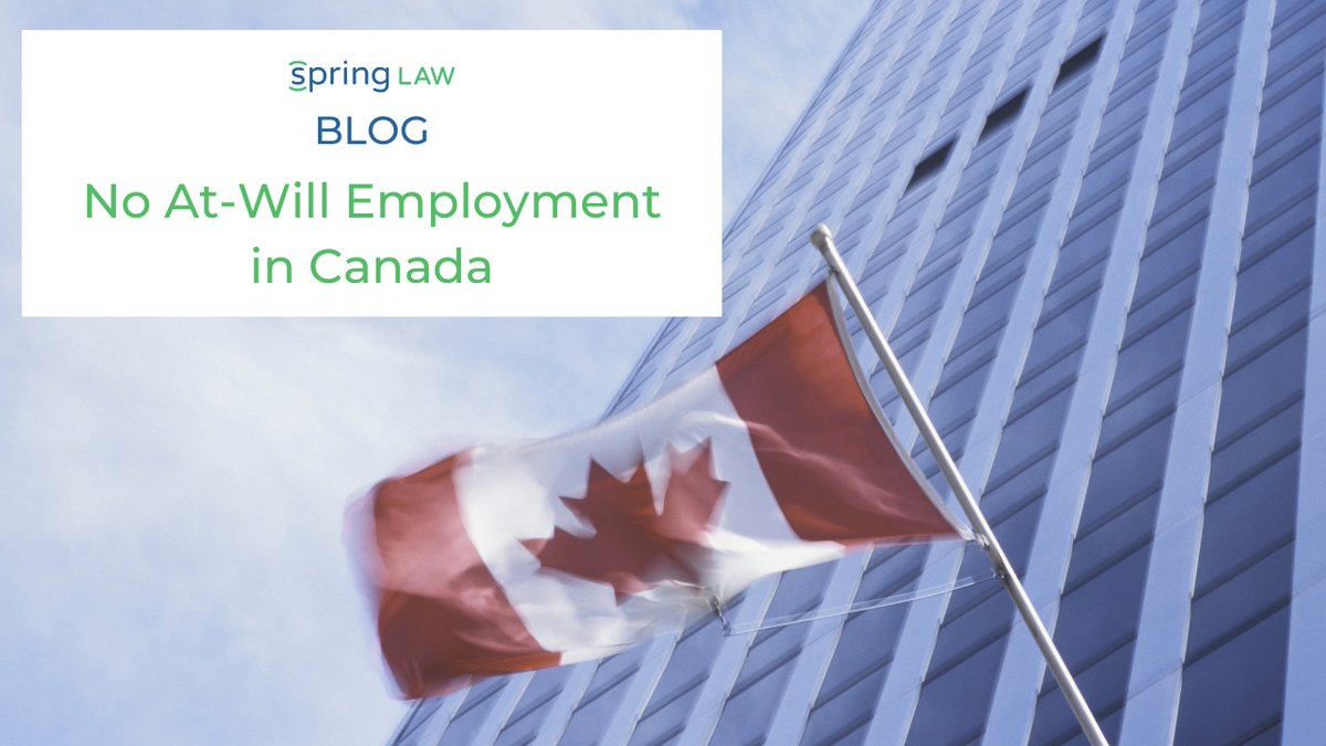 SpringLaw tweet media