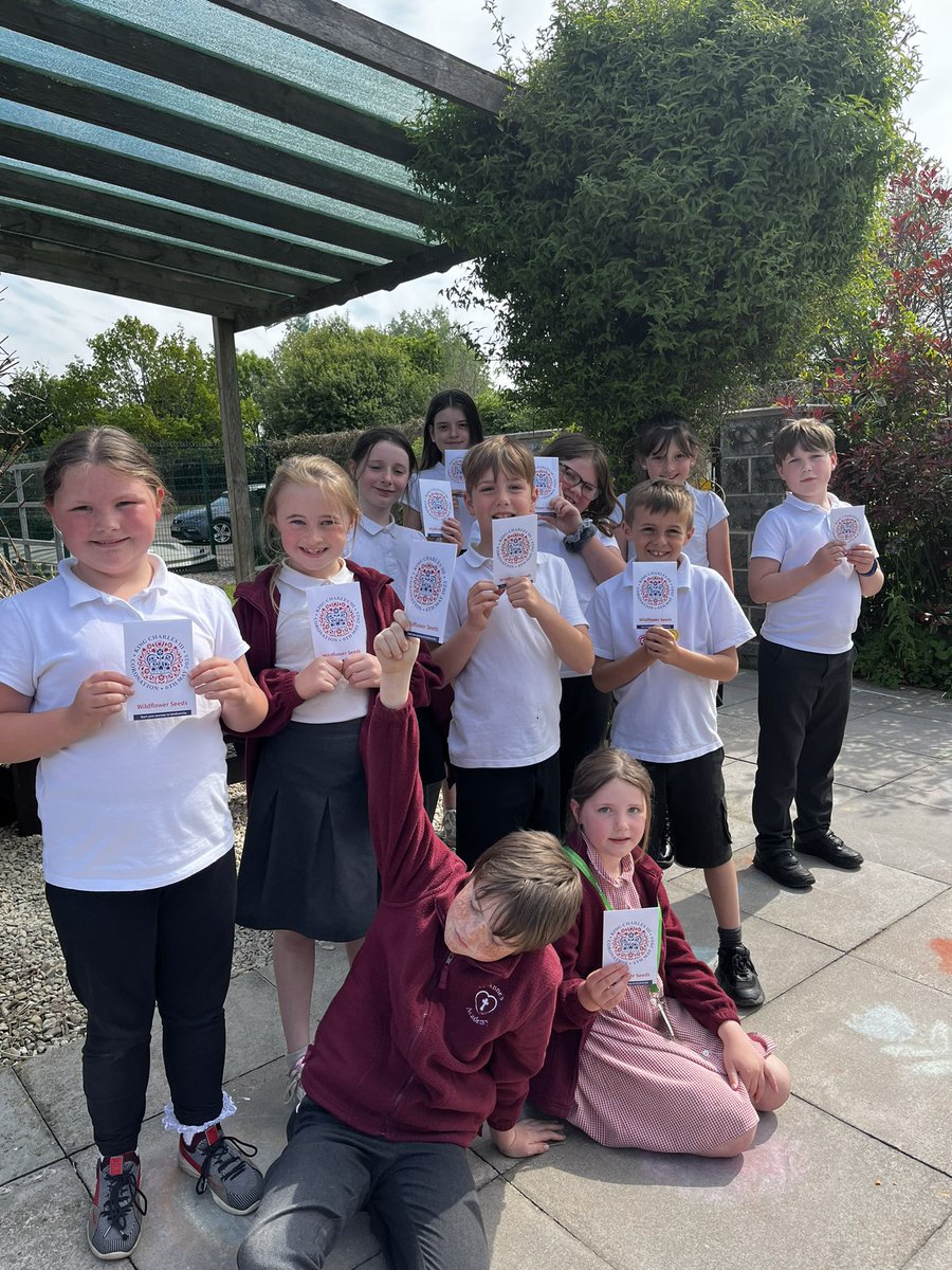 Rachel Few tweet media