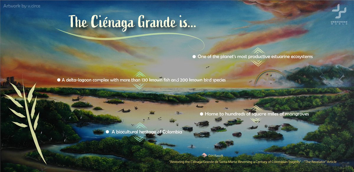 🌱The Ciénaga Grande de Santa Marta is a biocultural heritage of #Colombia and one of the planet’s most productive estuarine ecosystems.<a href="/Revelator_News/">The Revelator</a> <a href="/jplatt/">jplatt</a> <a href="/CenterForBioDiv/">Center for Biological Diversity</a> <a href="/UNAL/">unal</a> <a href="/DHRasolt/">Daniel Henryk Rasolt</a> <a href="/MinAmbienteCo/">MinAmbiente Colombia</a> bit.ly/41NSECA