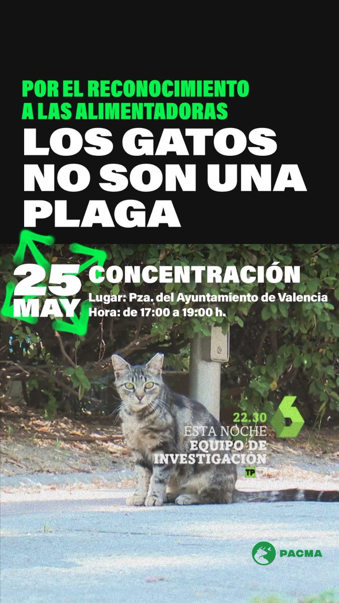 AmaregarDefensoraAnimalista, EcoFeminista tweet media