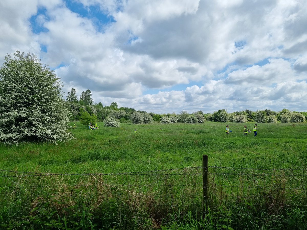 OakyDenmark's tweet photo. Yesterday our school based children connected with nature on a long walk through The Twiggeries and Paddington Meadows.  When we got back, we created artwork based on what we saw. https://t.co/NUzDE7ObAZ