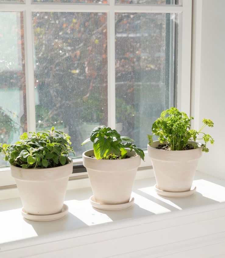 Curated Pieces tweet media