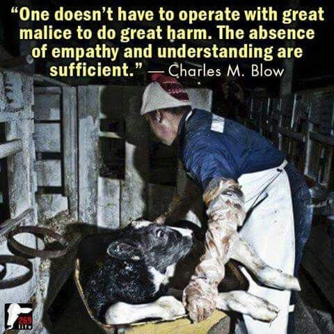 The system is set up to hide the inherent cruelties and atrocities so that you feel like you're doing nothing wrong

But in reality, when your choices require/involve sentient victims, you are fully accountable

#meat #dairy #change #vegan #veganism #plantbased