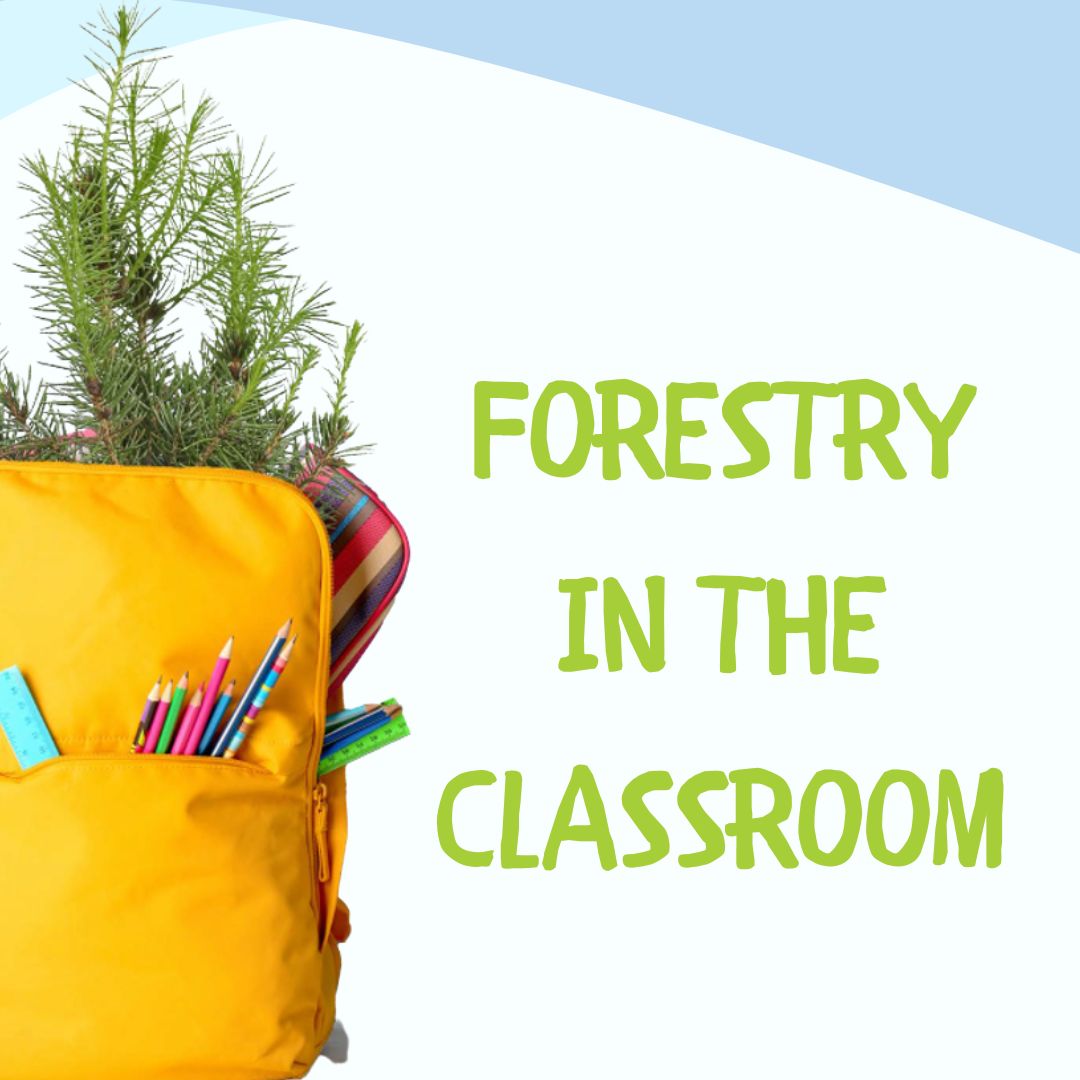 Our Forestry in the Classroom program connects future forest stewards with environmental professionals who deliver hands-on and engaging forest lessons on tree identification, forest careers, invasive species and forest management. Learn more ow.ly/IfmN50Oram8