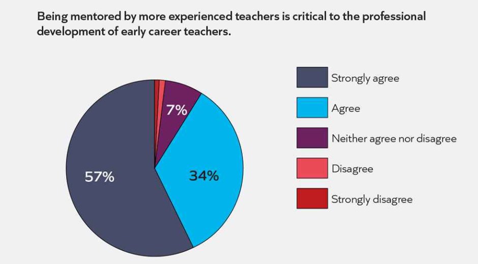Teachers place considerable value on professional development for new teachers – especially mentoring.

91% of teachers in our recent poll believe being mentored by more experienced teachers is critical to the professional development of early career teachers.