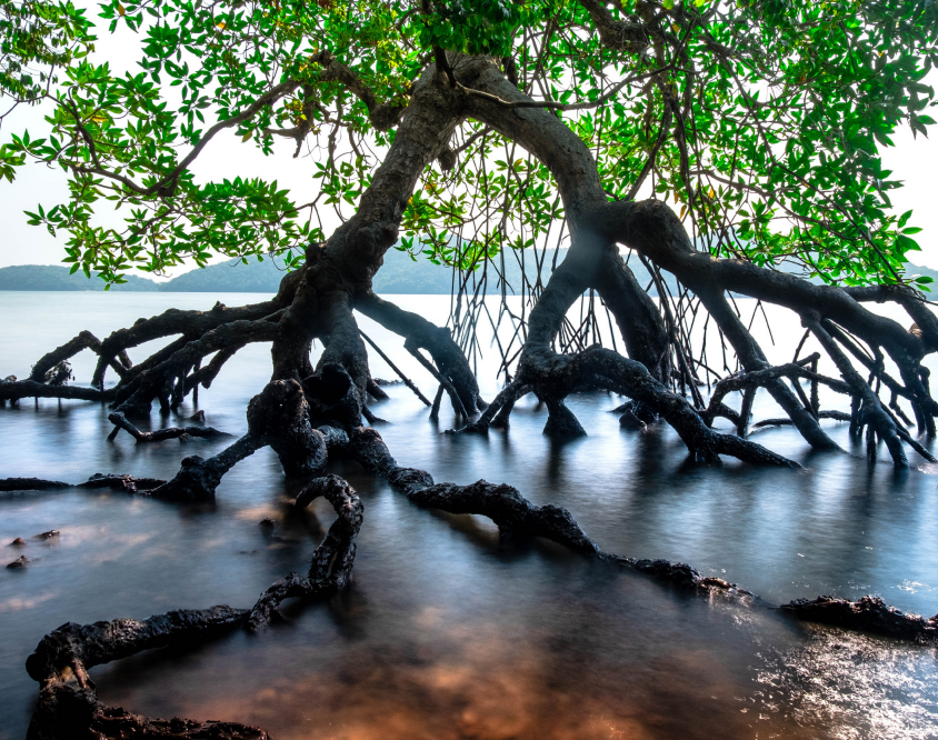 Solid World tweet media