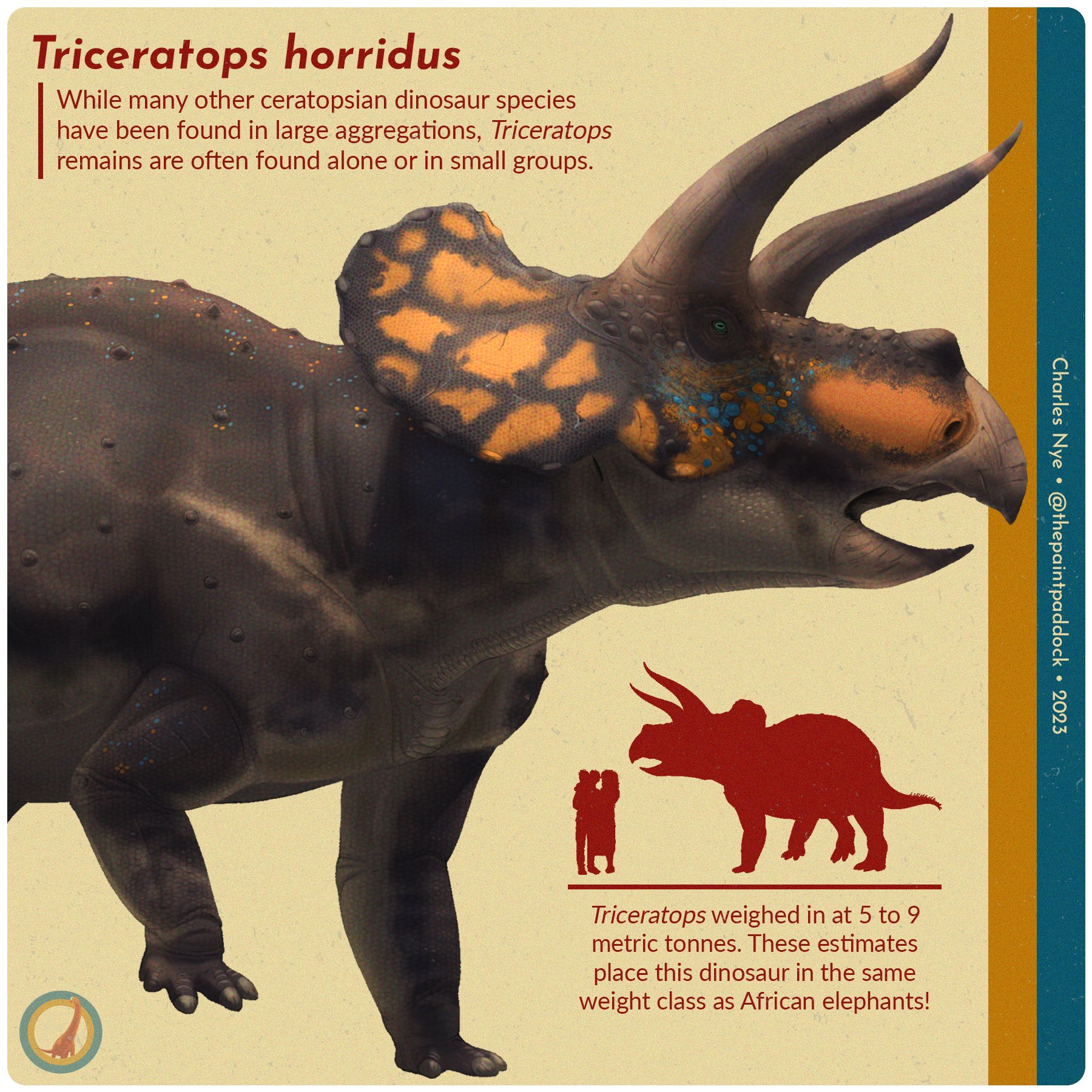 Triceratops Dinosaur Poster - Paleo Joe