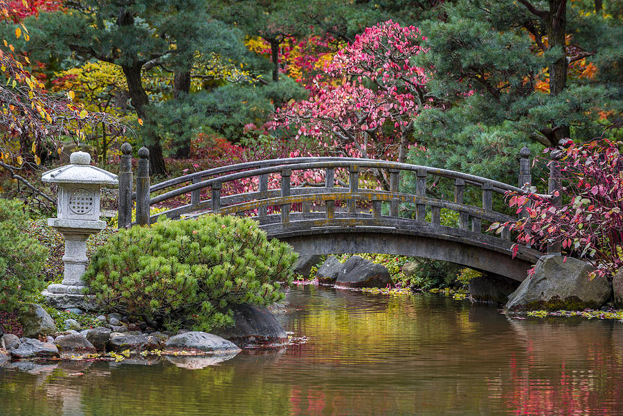 sebphotog's tweet photo. #POTD for 05-18 "Japanese Bridge" https://t.co/fDy96xsHP1 #photography #photo #zen #bridge #japanesebridge #japanesegarden https://t.co/62QnAz1tlq