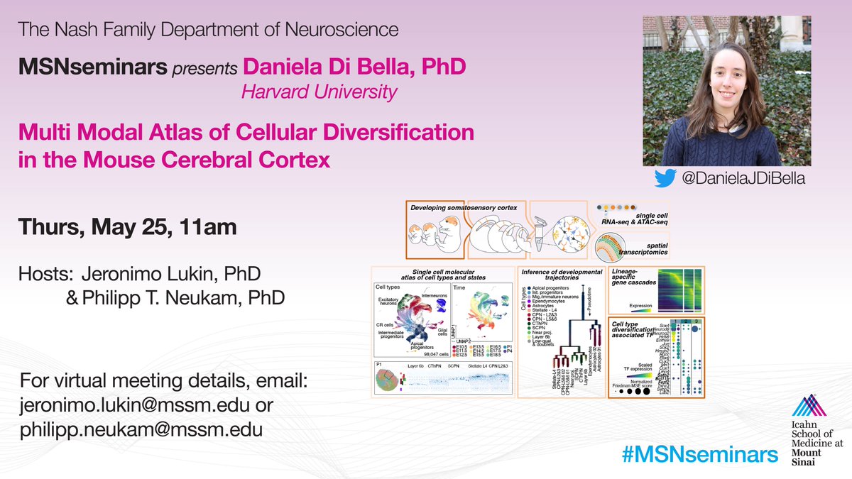 Friedman Brain Institute tweet media