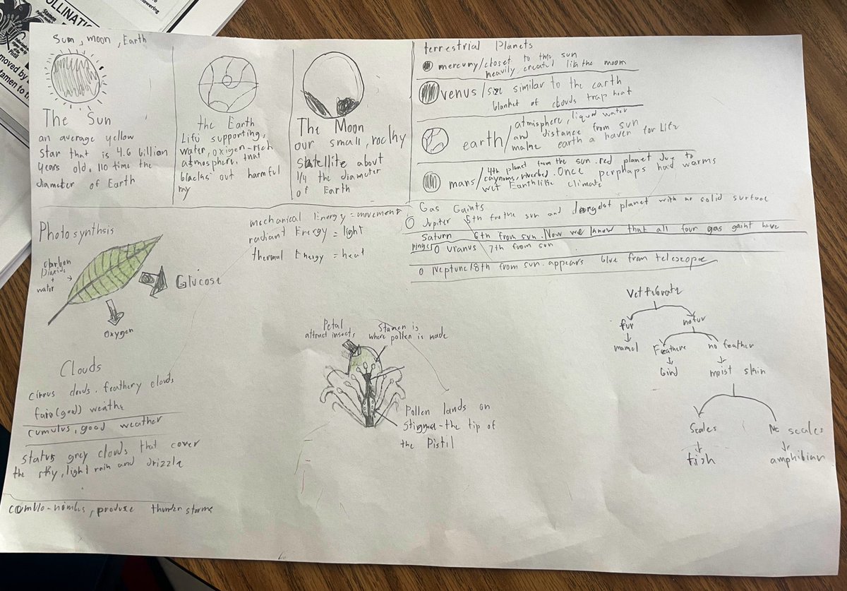 Today we’re making mind maps to prep for the science SOL! I love how each mind map is different and very creative. <a href="/ColumbiaES_fcps/">Columbia Elementary School</a> @FCPSScience
