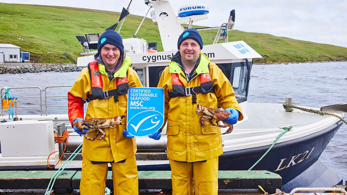 Congratulations to the Shetland Brown Crab & Scallop fishery (managed by the SSMO) for 2 award wins at the #FishingNewsAwards. 🐟

The SSMO won the Sustainability Award & crab fisher Richard Grains won ‘Under 10 metre fisherman of the year’. 🏆

More. ➡️ bit.ly/45bxWiY