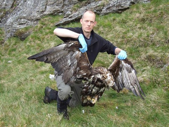 JOB VACANCIES: 2 x Investigations Officers, RSPB Scotland. A rare opportunity to join the frontline in tackling the ongoing illegal killing of birds of prey. Closing date: 11 June 2023. Full time, £30-33K. Application details here ⬇️⬇️ raptorpersecutionuk.org/2023/05/18/job…