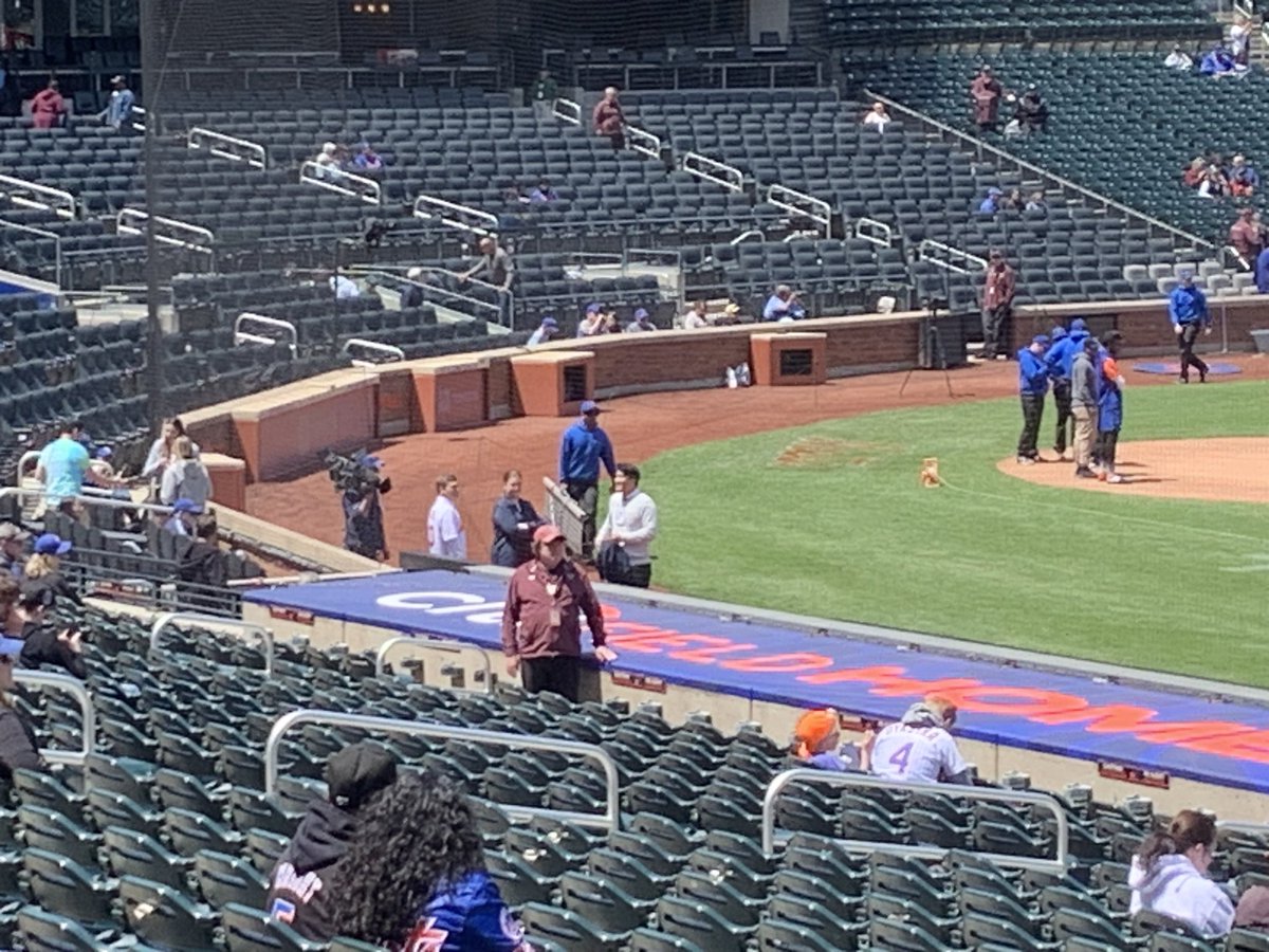 Our own <a href="/davidfaber/">David Faber</a> is getting ready to throw the first pitch!

<a href="/Mets/">New York Mets</a> <a href="/CitiField/">Citi Field</a>