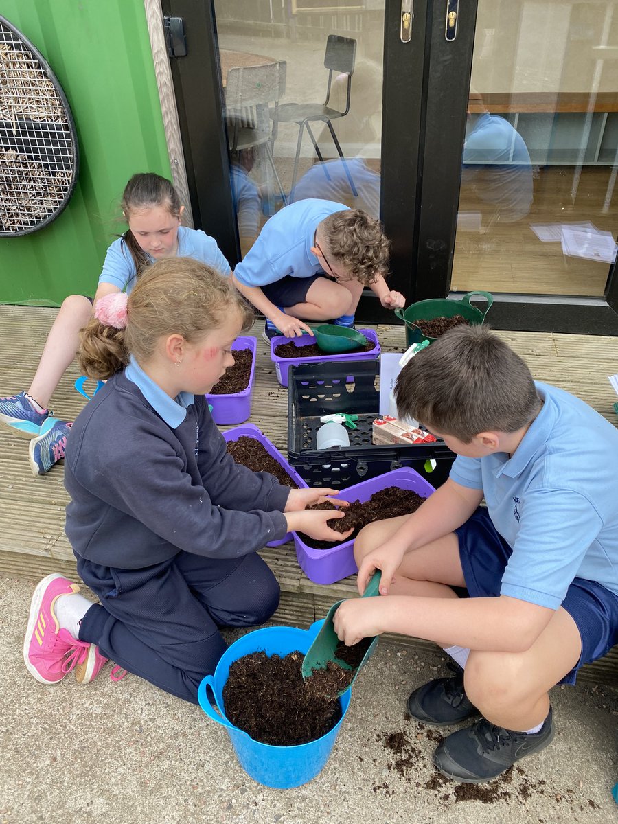 I had a great day with the kids from @NewRowPS where we sowed radish and cut and come again salad leaves and made wildflower seed bombs. It was great to get outside and celebrate #OutdoorClassroomDay #gardeningwithkids @RHSSchools