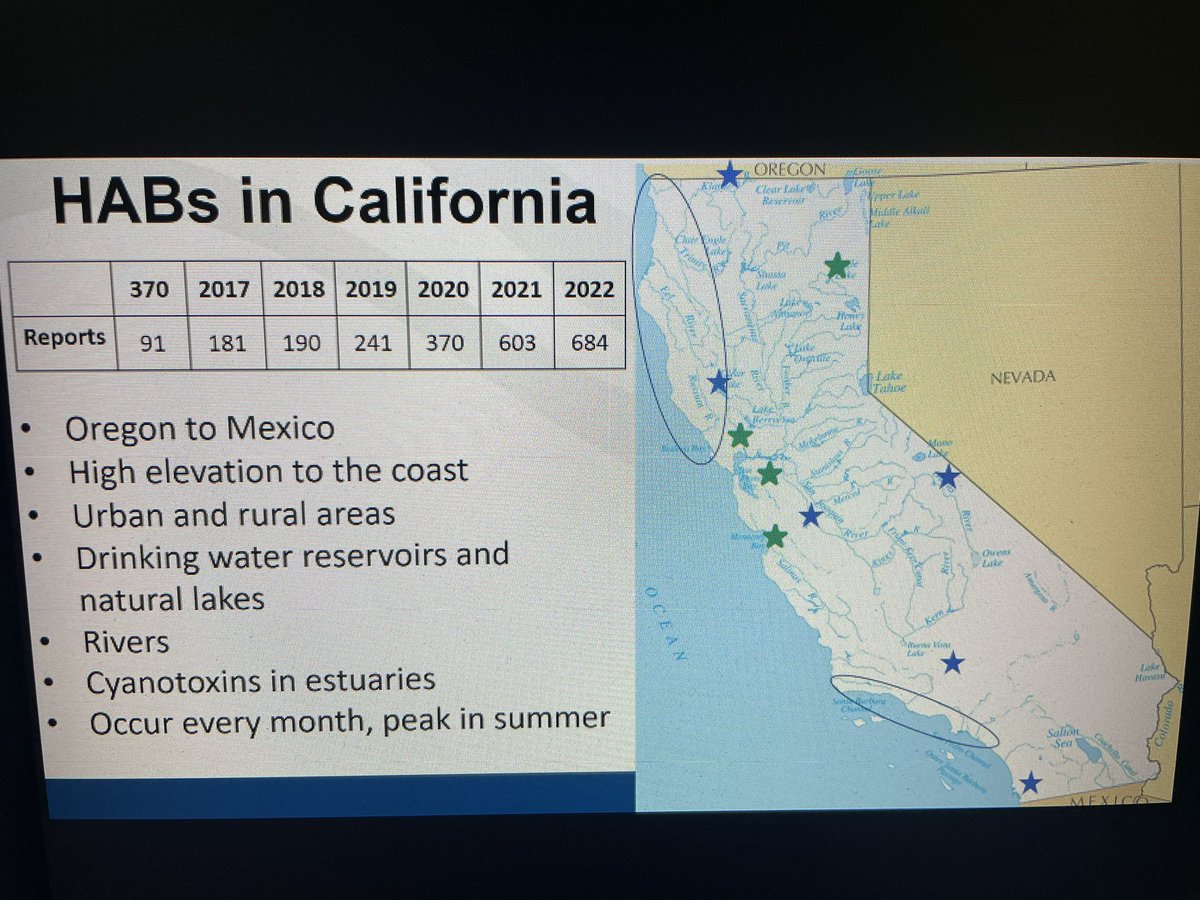 #HarmfulAlgaeBlooms have quadrupled over the last 5 years!
