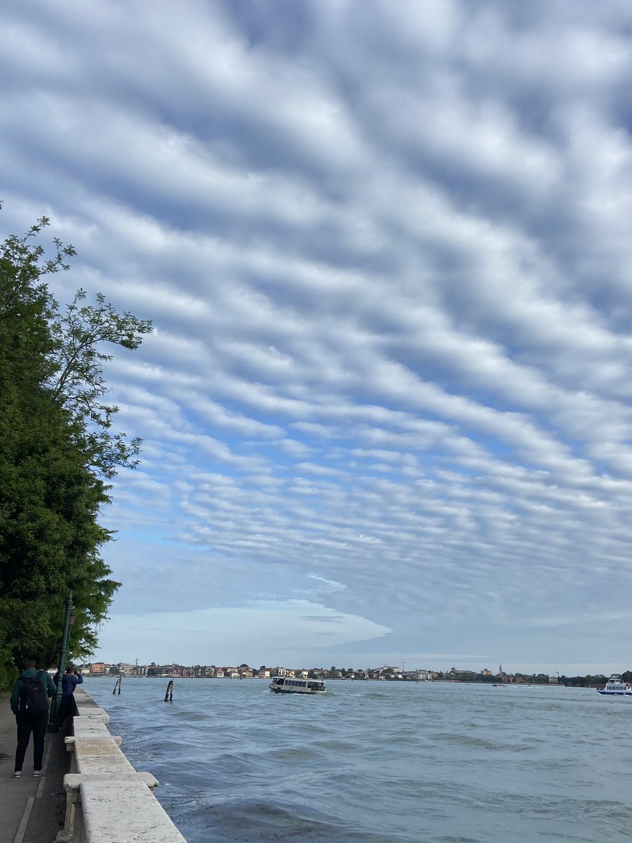 CamiBe90's tweet image. Cloud #selforganization