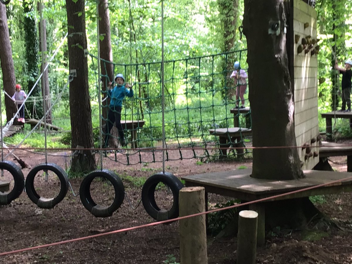 BarrowCEPrimarySchool tweet media