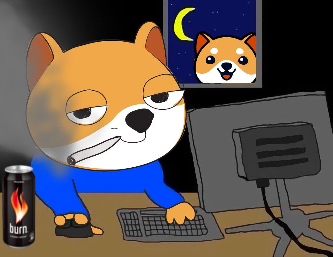 BabyDoge's tweet photo. @elonmusk Who needs sleep https://t.co/OpkHLCkDiK