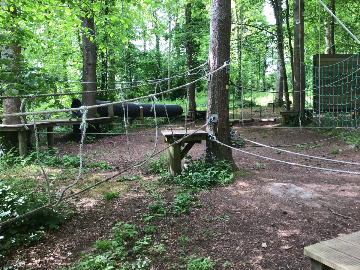 BarrowCEPrimarySchool tweet media