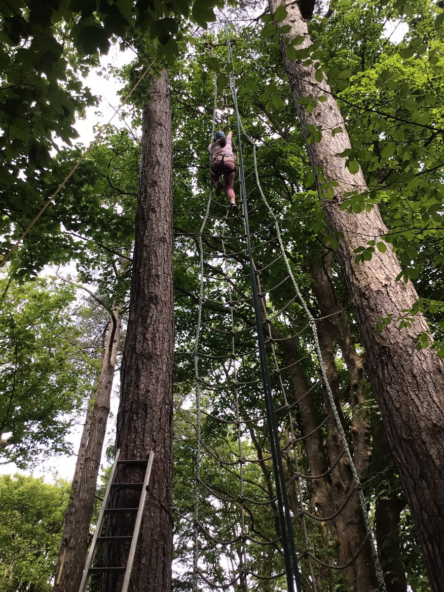 BarrowCEPrimarySchool tweet media