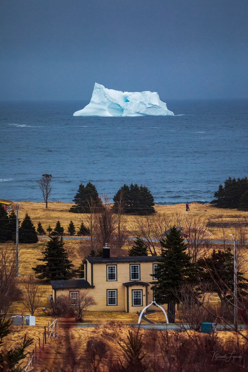 Russell Lynch Photography tweet media