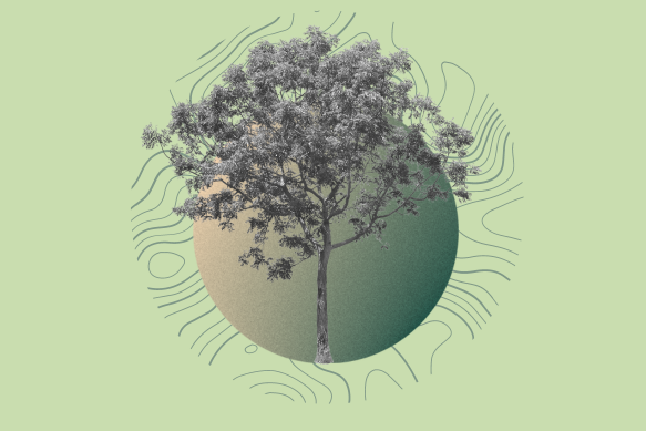Filalagullacoop's tweet photo. La sostenibilitat i la relació amb l'entorn a les organitzacions➡ Desenvolupar una visió ecològica i d’interconnexió de les nostres organitzacions amb l’entorn.🌱   - https://t.co/1UxZlUISWE https://t.co/ssDdsqbAnW