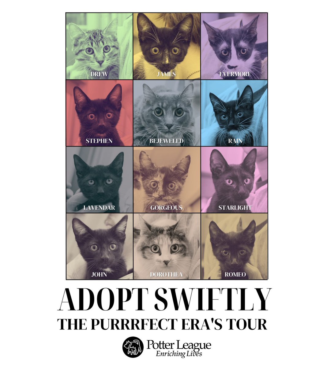 Potter League for Animals tweet media