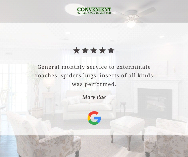 termiteslayer's tweet image. We&apos;re thrilled to receive such positive feedback from one of our valued customers! Thank you for taking the time to share your experience with us. 
#clienttestimonial #pestcontrol #pestcontroller #mesa