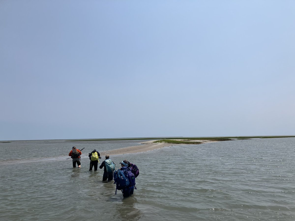 Dr. Cora Baird tweet media