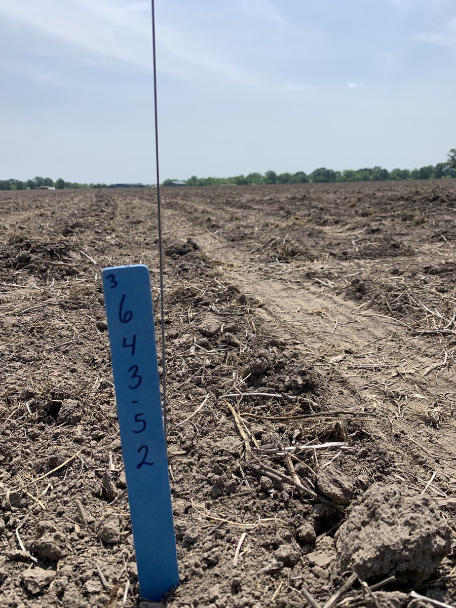 Thank you ⁦<a href="/HWBfarmer/">Wayne Boden</a>⁩ for your time in letting ⁦<a href="/AgriGold/">AgriGold</a>⁩ put a plot in this awesome location! 👍😁👍