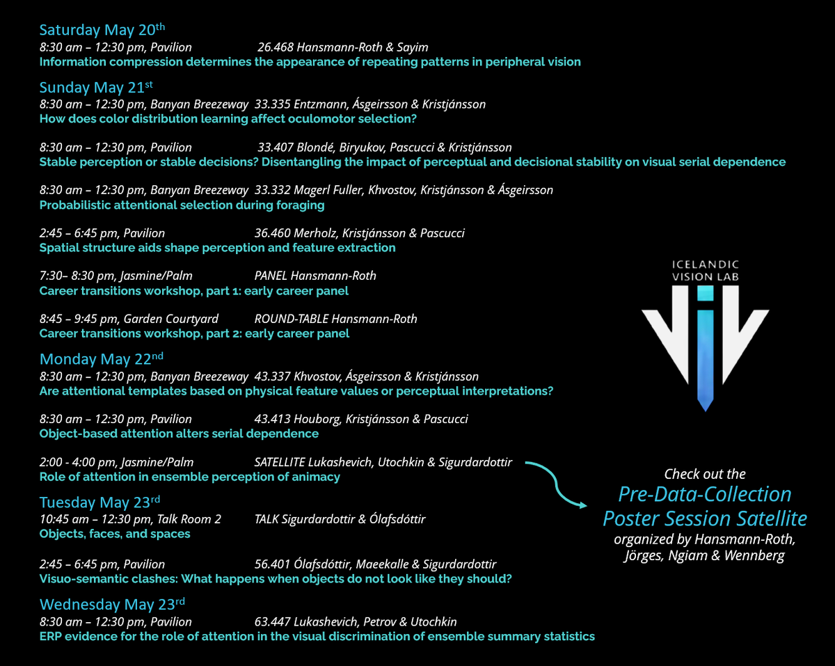 Icelandic Vision Lab tweet media
