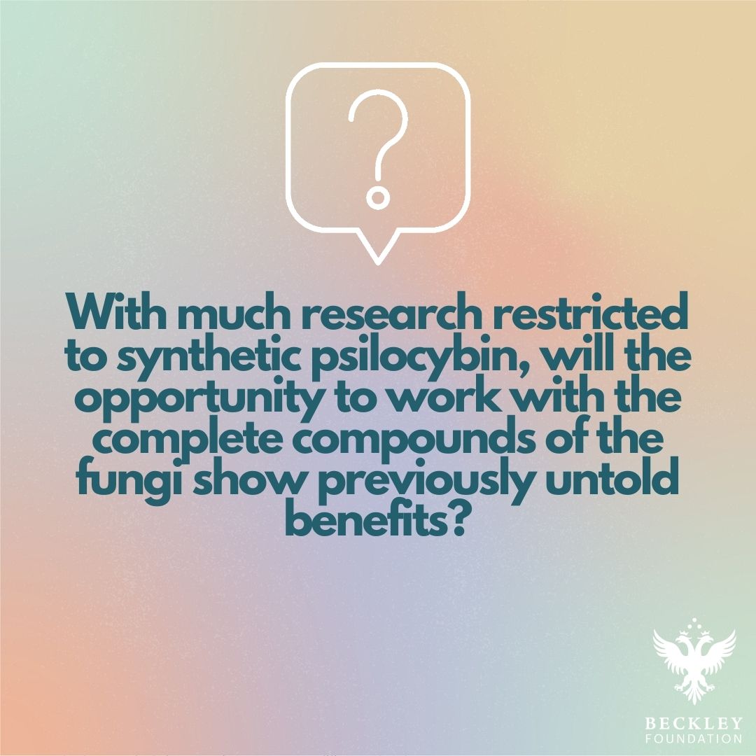 Beckley Foundation | Psychedelic Research tweet media