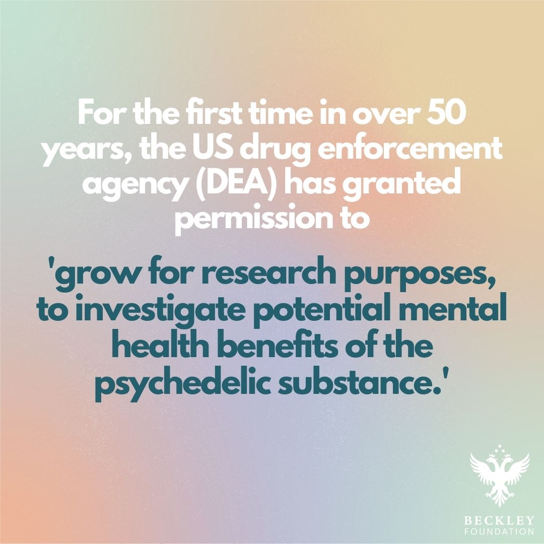 Beckley Foundation | Psychedelic Research tweet media
