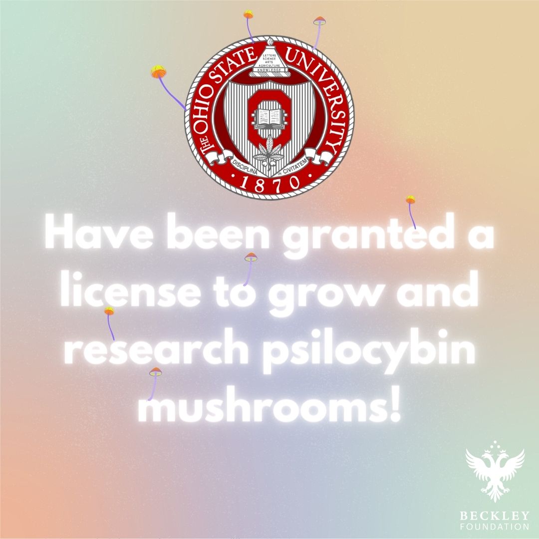 Beckley Foundation | Psychedelic Research tweet media