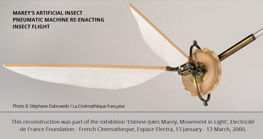 Pre Cinema History 📷🎞️🇨🇦 🏴 on Twitter: