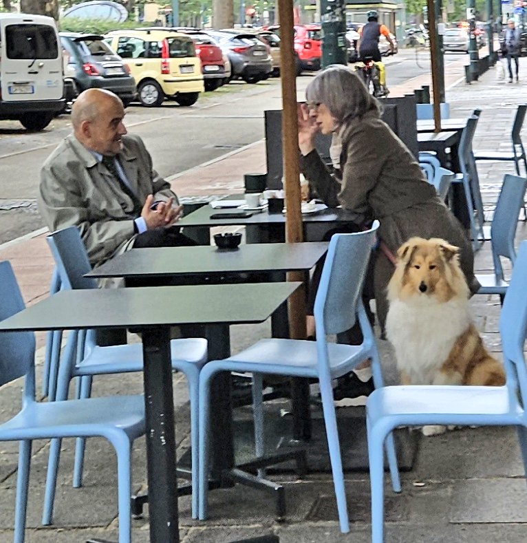 turinepi's tweet photo. Just made my young #FLE student extra engaged about #tibet and ylthe #dalailama 🤓 usually my adult #esl clients are fascinated by the #yakwool 👌 https://t.co/0WPD6Q9kyT #turin #torino #walkingtours #tastings #privates #conciergeservices #dogsofturin #travelwithus #northernitaly https://t.co/FRgQBH7kP3