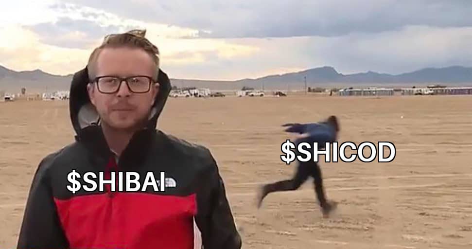 Less than 24 hours to the $SHICOD launch on <a href="/CamelotDEX/">Camelot</a>

Initial Circulating Supply on Launch: 10.5M $SHICOD
Circulating Supply after Airdrop: 42M $SHICOD

Stay tuned and turn on notifications