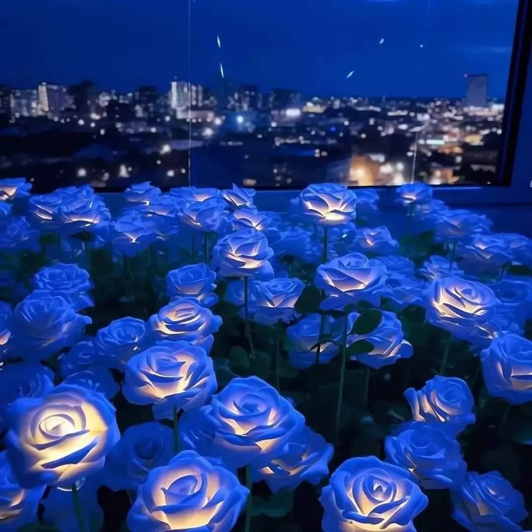blue led-powered roses