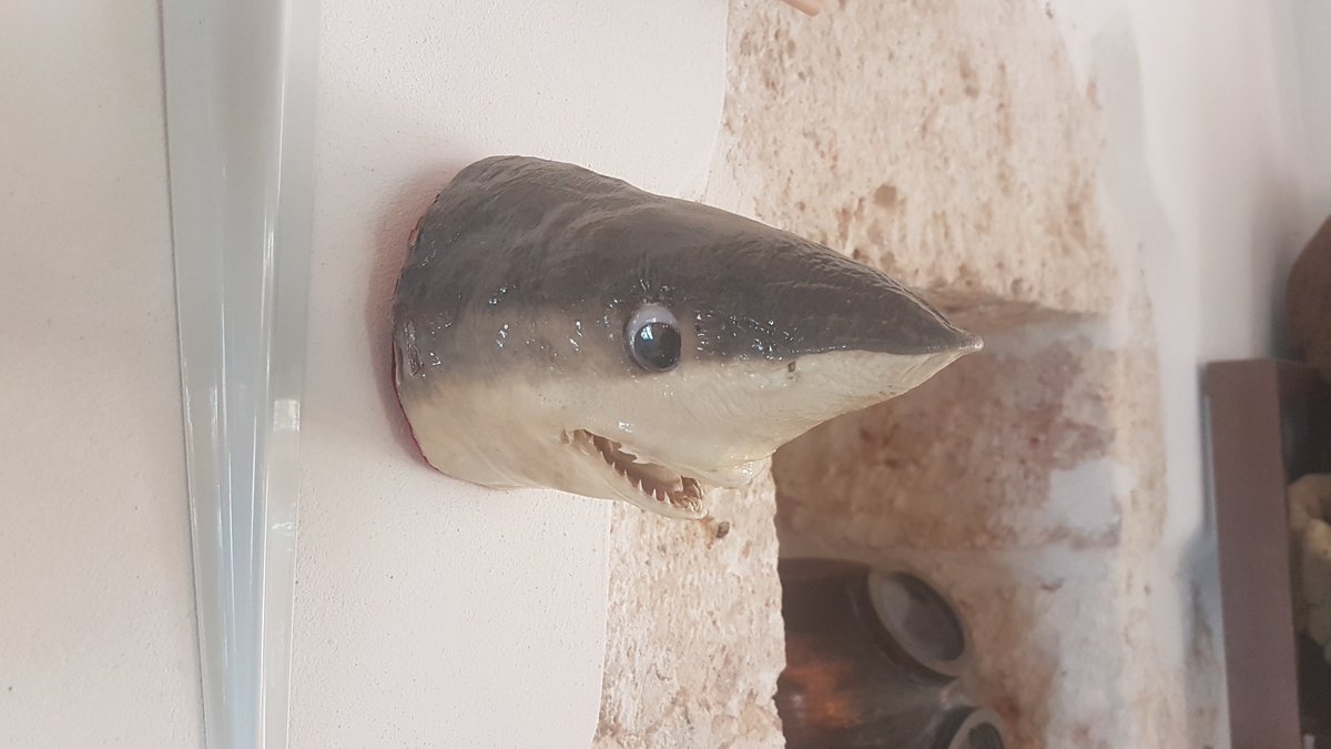 KevBLloyd's tweet photo. @susen366 @Pandamoanimum The Maritime Museum of Crete in Chania sees you and raises you. https://t.co/wdTuuf2kTE