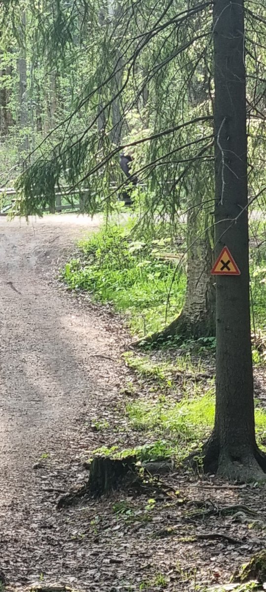 smlmkl's tweet photo. @HelsinkiKymp Koko skutsi naulattu. https://t.co/PJQ4X7cr0E