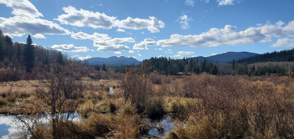 CWRA_Flows's tweet photo. Do you love wetlands? We love wetlands! Join us next Wednesday (24th) for a WETLAND WEBINAR where Mike Takeda, Chris Gabriel, and Daron Abbey will present "practical approaches for modelling wetland features in an urban setting". Register now at: https://t.co/94dvrUP6cT https://t.co/ASLJy2X9OT
