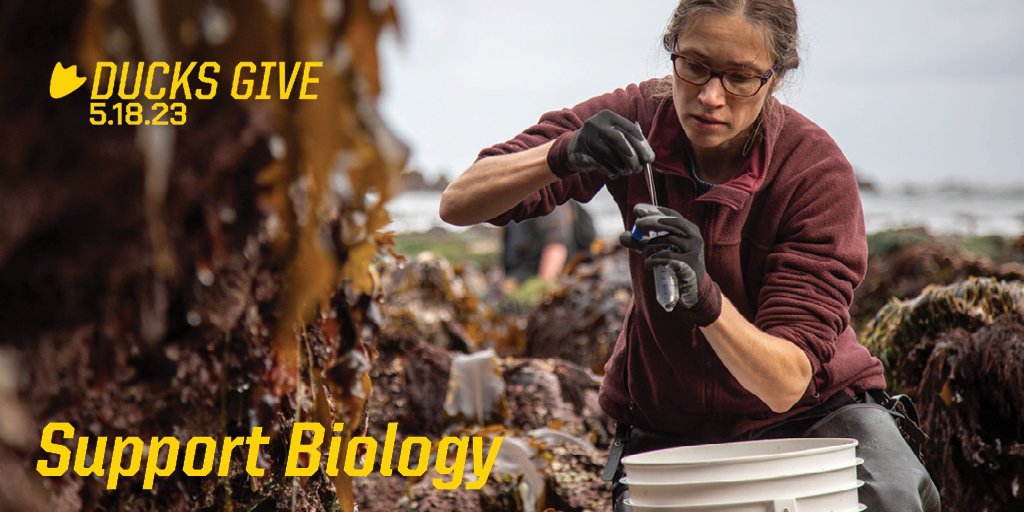 UO Biology tweet media