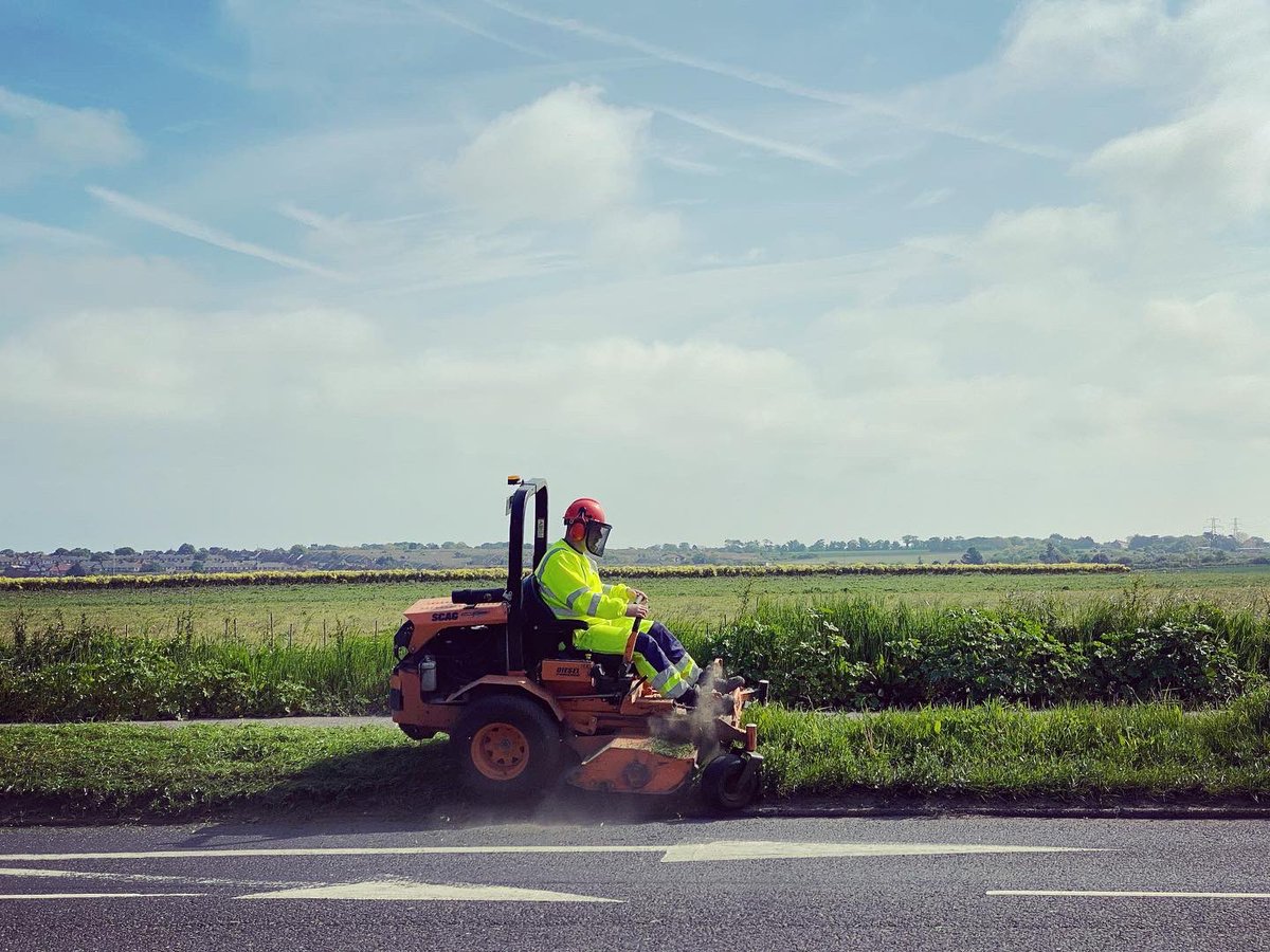 thanettrees's tweet photo. #nomowmay Thanet style. With added glyphosate on top. 
.
#pesticide #glyphosate #thanet #margate #visitthanet #pesticidefree https://t.co/RSrx17SUDf