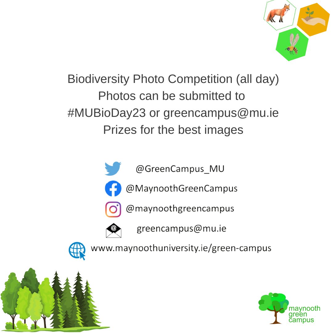 #nationalbiodiversityweek starts tomorrow!
All are welcome to join us on Wednesday the 24th.
See KCC Biodiversity Week events bit.ly/45eZ9S4
#MUBioDay23
#sustainablemaynooth
#greencampus
#maynooth
#maynoothuniversity
#stpatrickspontificaluniversity
