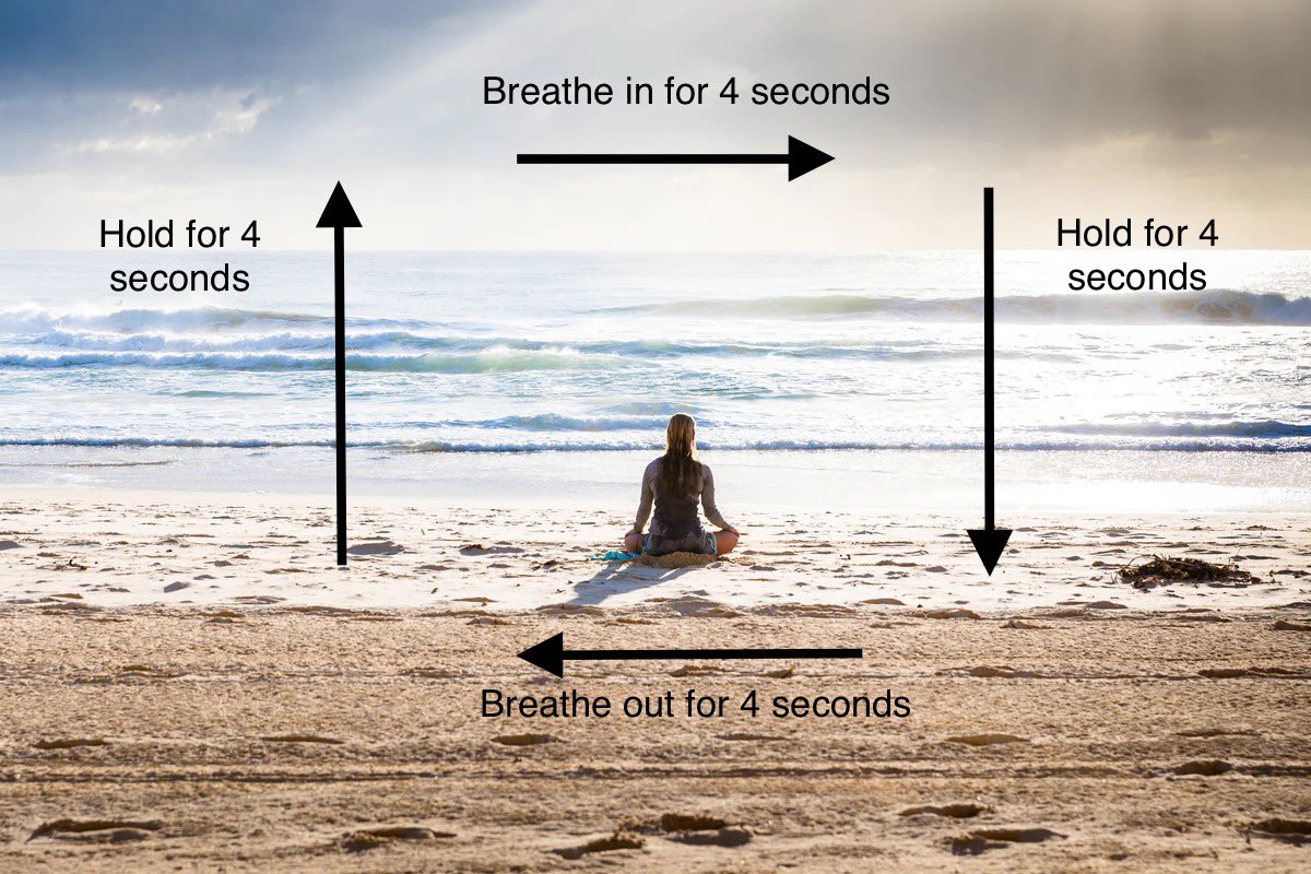 Benefits of slow #breathing patterns (part 1): 🌼

* More #oxygen transfer from lungs into bloodstream 

* Rise in nitric oxide levels causing #bloodvessels to dilate, allowing blood & oxygen to travel more quickly through the body ❤️