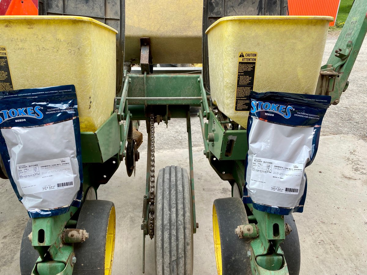 TSDistillers's tweet image. Ready, set, GROW! 🌽 Our Bloody Butcher seeds are being planted in the beautiful #LanarkHighlands where the mild climate and fertile soil make some of the worlds best corn! @GrainFarmers #CraftDistilling #BloodyButcherWhisky #GrainToGlass #CanadianWhisky #GrowOntario