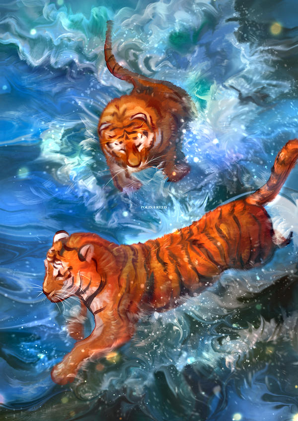 no humans waves water tiger animal animal focus ocean  illustration images