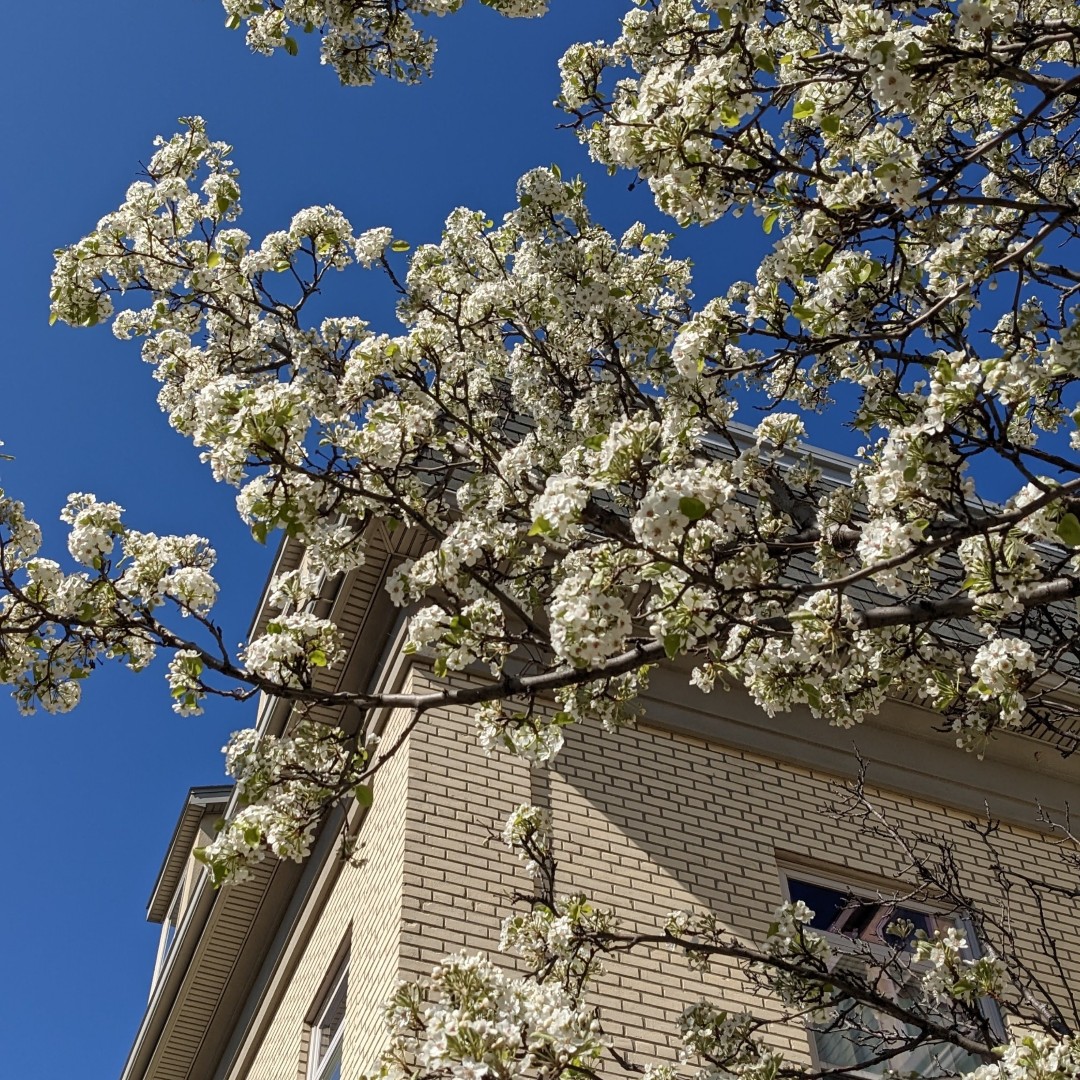 REMINDER: Request religious accommodations for spring and summer 2023 by May 18.

Learn more: bit.ly/42OBAO7